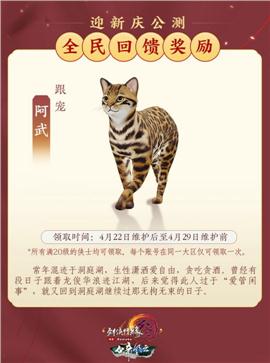 天龙八部私服微变版